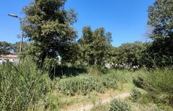 Rochefort-du-Gard, Occitanie 30650