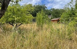 Cerny, Île-de-France 91590