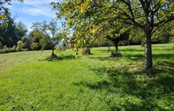 Saint-André-en-Royans, Auvergne-Rhône-Alpes 38680