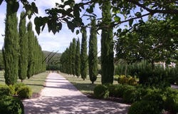 Barjac, Languedoc-Roussillon 30430