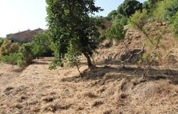 Pila-Canale, Corsica 20123