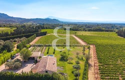 Vacqueyras, Provence-Alpes-Côte d'Azur 84190