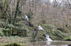 Tanus, Tarn 81190
