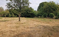 Gizy, Aisne 02350