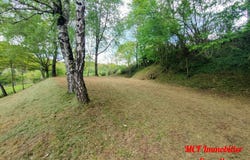 Pont-de-Salars, Aveyron 12290