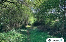 La Souterraine, Nouvelle-Aquitaine 23300