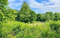 Gouloux, Burgundy 58230
