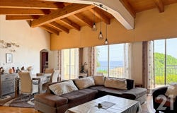 Monticello, Corsica 20220