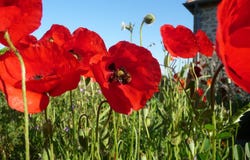 La Clayette, Burgundy 71800