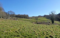Sussac, Limousin 87130