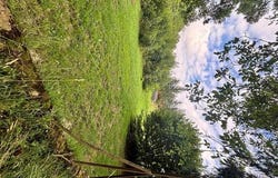 Butten, Alsace 67430