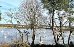 Camoel, Bretagne 56130
