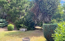 Bellac, Limousin 87300