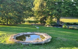 Chalais, Poitou-Charentes 16210