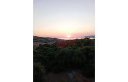 Propriano, Corse-du-Sud 20110