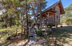 Caille, Alpes-Maritimes 06750