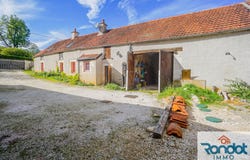 Tarsul, Burgundy 21120