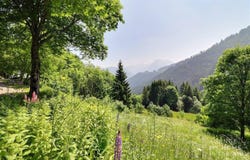 La Côte-d'Arbroz, Rhône-Alpes 74110