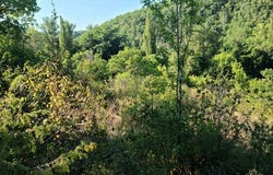 Labastide-Du-Vert, Midi-Pyrénées 46150