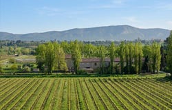 Puichéric, Languedoc-Roussillon 11700