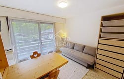 82 Route de Pré la Joux, Châtel, Haute-Savoie 74390