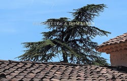 Cotignac, Provence-Alpes-Côte d'Azur 83570