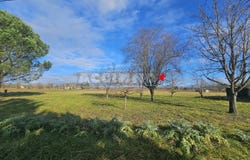 Gaillac, Tarn 81600