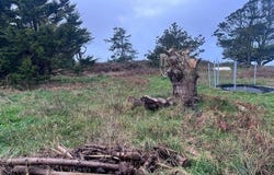 Ile-De-Batz, Bretagne 29253
