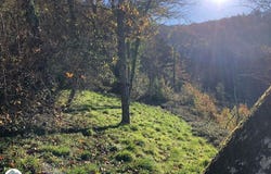 Caudebronde, Languedoc-Roussillon 11390