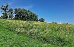 Balma, Haute-Garonne 31130