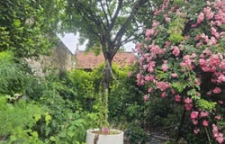 SOISSONS, Hauts-de-France 02200