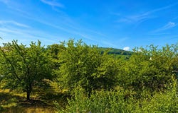 Bischoffsheim, Alsace 67870