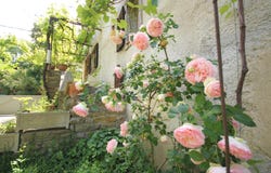 Chalabre, Languedoc-Roussillon 11230