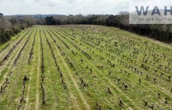 Salinelles, Gard 30250