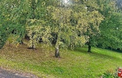 Locmine, Bretagne 56500