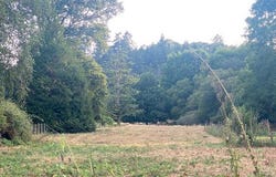 Guipry-Messac, Bretagne 35480