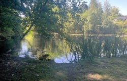 Dournazac, Limousin 87230