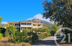 Patrimonio, Corsica 20253