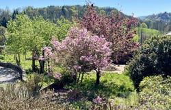 Moye, Haute-Savoie 74150