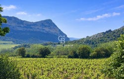 Saint-Florent, Corsica 20217