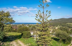 L'Île-Rousse, Corsica 20220