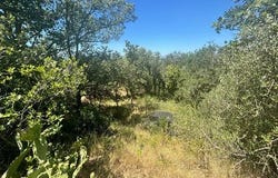 Brouilla, Languedoc-Roussillon 66620