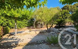 Lumio, Corsica 20260