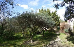 Rochefort-du-Gard, Languedoc-Roussillon 30650