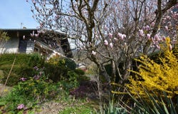 Cluses, Haute-Savoie 74300