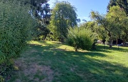 Essert, Franche-Comté 90850