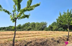 Le Burgaud, Haute-Garonne 31330