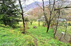 VABRE, Midi-Pyrénées 81330