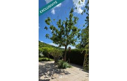 Avanne-Aveney, Franche-Comté 25720