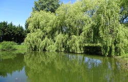Sainte-Orse, Aquitaine 24210